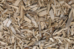 biomass boilers Hinchley Wood